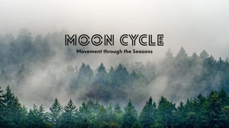 Higher Ground Sports